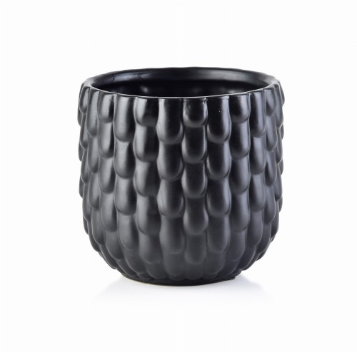 31c357eed46325a5aaae14ef03b3d4ec